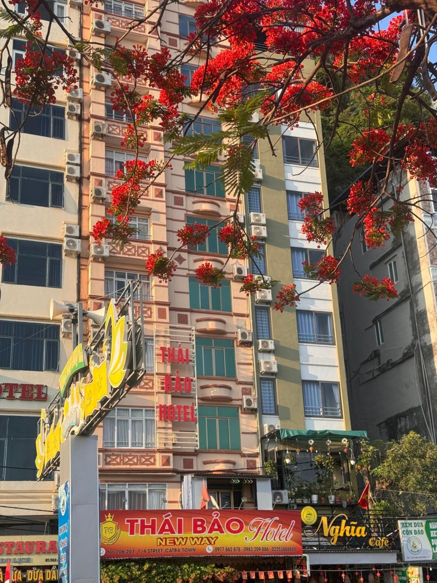 Thai Bao Hotel Dong Khe Sau Buitenkant foto